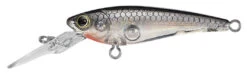 Daiwa SC Shad 2 Inch Finesse Jerkbait/Trolling Plug -Daiwa 32378676740185