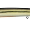 Daiwa Steez Custom HMKL Minnow Jerkbait -Daiwa 39553567490137