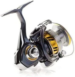 Daiwa Regal LT Spinning Reel -Daiwa 418E3HhhrIL. AC