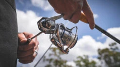 Daiwa Procyon MQ LT Spinning Reel -Daiwa Procyon1Spot