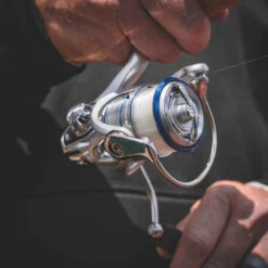 Daiwa Procyon MQ LT Spinning Reel -Daiwa Procyon3Spot 1000x a9dd0fff 5484 484f ada8 569f03ffa72b