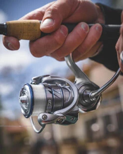 Daiwa Procyon MQ LT Spinning Reel -Daiwa Procyon5Spot