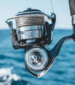 Daiwa Certate SW Spinning Reels -Daiwa daiwa certate sw spinning reels 63585.1651409087