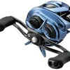 Daiwa Coastal 80 Baitcasting Reels 2 Daiwa Coastal 80 Baitcasting Reels -Daiwa daiwa coastal 80 baitcasting reels 29632.1665201922