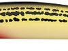 Daiwa Salt Pro Minnow - 6in Floating - SOS Yellow -Daiwa daiwa dspm15f82 salt pro minnow 35520.1651247757.386.513