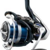 Daiwa Legalis LT Spinning Reels 1 Daiwa Legalis LT Spinning Reels -Daiwa daiwa legalis lt spinning reels 00000.1651112550