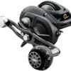 Daiwa Lexa Type-WN Baitcasting Reels -Daiwa daiwa lexa wn baitcasting reels 14724.1651112560