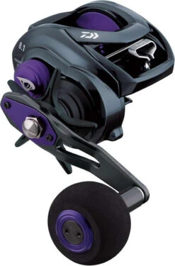 Daiwa Prorex TW Baitcasting Reels -Daiwa daiwa prorex tw baitcasting reels 25792.1651375912