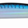 Daiwa Salt Pro Minnow -Daiwa daiwa salt pro minnow saltwater lures 18413.1650807882