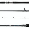 Daiwa Saltist Inshore Casting Rods -Daiwa daiwa saltist inshore casting rods 13580.1650807933