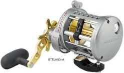Daiwa Saltist Levelwind A Reels 10 Daiwa Saltist Levelwind A Reels -Daiwa daiwa saltist levelwind a reels 38721.1650807939