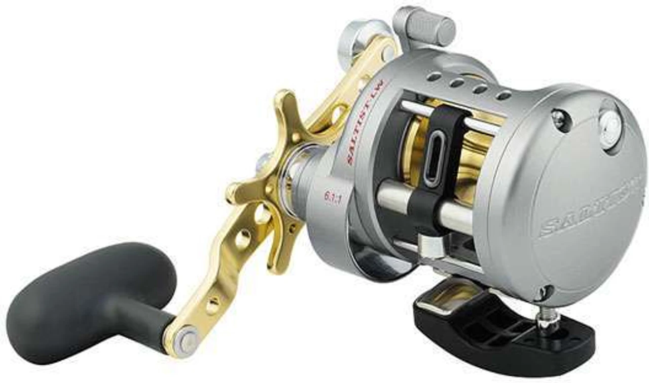 Daiwa Saltist Levelwind A Reels 3 Daiwa Saltist Levelwind A Reels