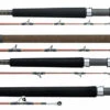 Daiwa V.I.P. A Saltwater Rods 1 Daiwa V.I.P. A Saltwater Rods -Daiwa daiwa vip a saltwater rods 06467.1651076951