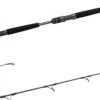 Daiwa Saltiga Jigging Series Spinning Rods -Daiwa saltiga spin main
