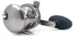 Daiwa Saltiga Star Drag 20/30/35/40/50 Conventional Reels -Daiwa saltigastar1 600x600 jpg